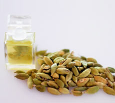 CARDAMOM ABSOLUTE - Rakesh Sandal Industries